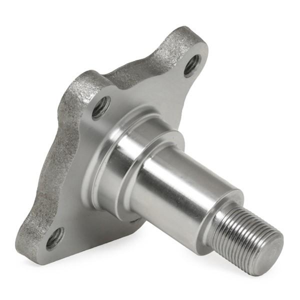 Rear Axle Wheel Hub (04-P297), Ford